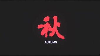 今日头条白面书生