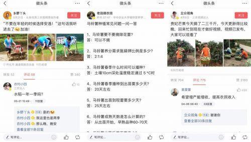 图文和微头条推荐量差异,揭秘内容传播背后的秘密