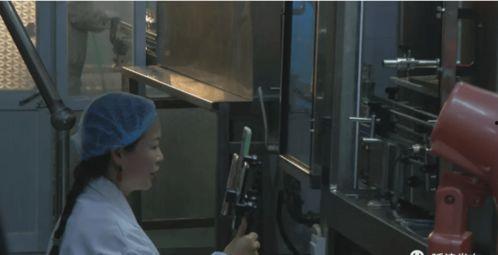 河南网红工厂带货主播,打造电商新势力，助力乡村振兴