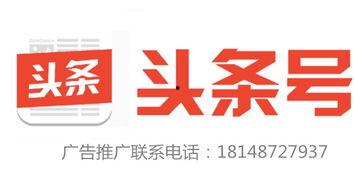 惠州惠诚新闻今日头条,聚焦今日热点，解码惠州发展新篇章