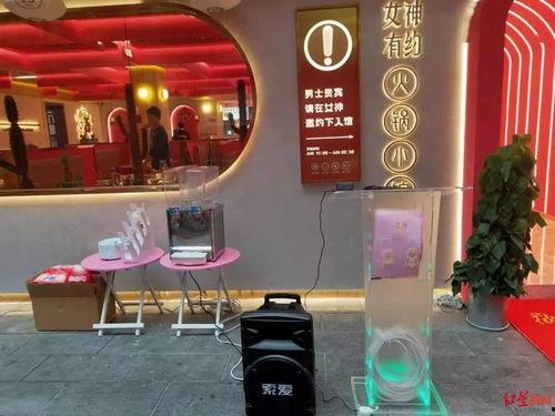 温精灵锤网红店的视频,探秘热门甜品背后的故事