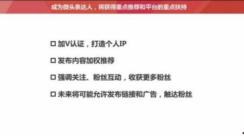 头条谁的粉丝多,揭秘谁在互联网时代拥有最多追随者？”