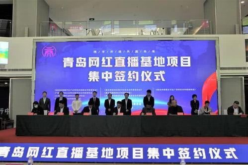 河南打造网红基地,打造网红基地，助力数字经济新引擎