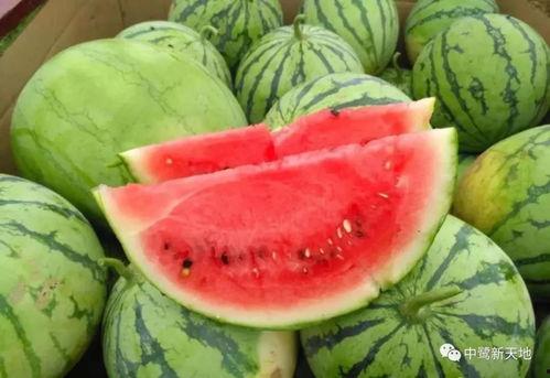 彩云上吃瓜,揭秘网络热点的背后故事