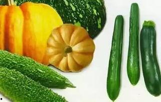 蓝红瓜怎么吃,解锁美味新体验