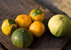 小孩吃生瓜好吗怎么吃,儿童食用生瓜的适宜方法与注意事项