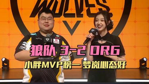 狼队小胖最新爆料视频,最新爆料视频背后的惊人内幕