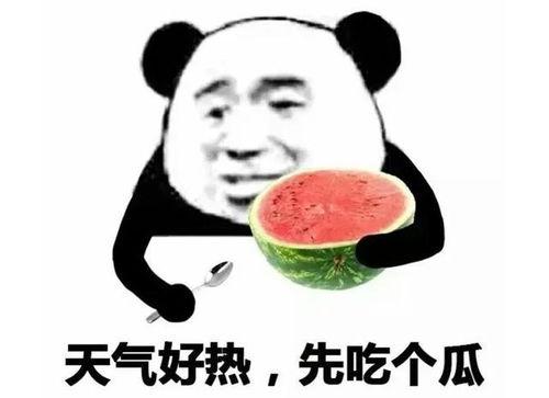 吃瓜表情包小图
