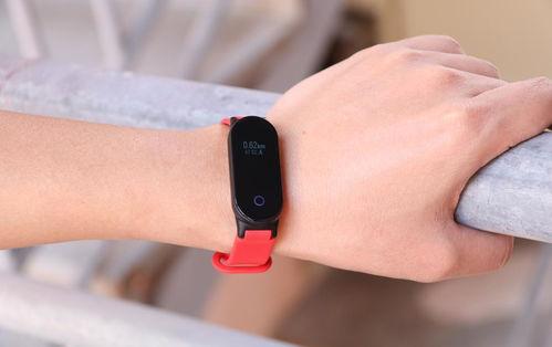 娱乐吃瓜戴手环